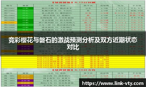 VSport官方入口